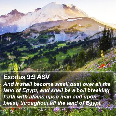 Exodus 9:9 ASV Bible Verse Image