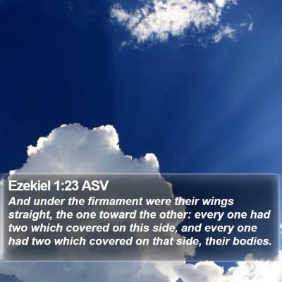 Ezekiel 1:23 ASV Bible Verse Image
