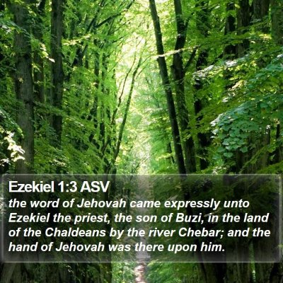 Ezekiel 1:3 ASV Bible Verse Image