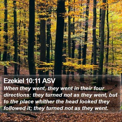 Ezekiel 10:11 ASV Bible Verse Image