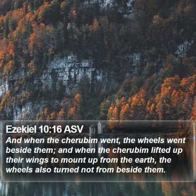 Ezekiel 10:16 ASV Bible Verse Image