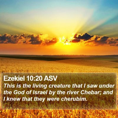 Ezekiel 10:20 ASV Bible Verse Image