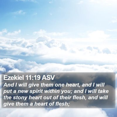 Ezekiel 11:19 ASV Bible Verse Image