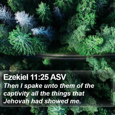 Ezekiel 11:25 ASV Bible Verse Image