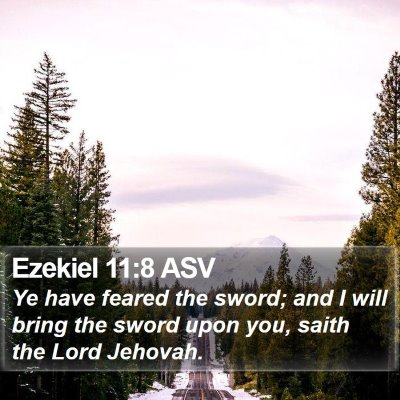 Ezekiel 11:8 ASV Bible Verse Image