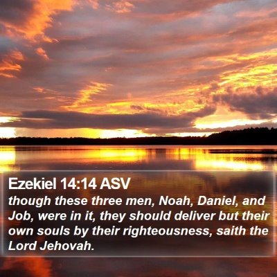 Ezekiel 14:14 ASV Bible Verse Image
