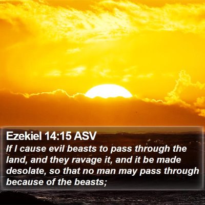 Ezekiel 14:15 ASV Bible Verse Image