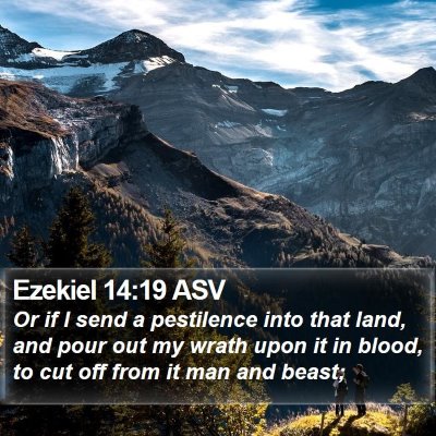 Ezekiel 14:19 ASV Bible Verse Image