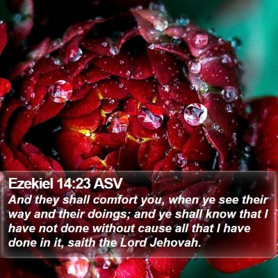 Ezekiel 14:23 ASV Bible Verse Image