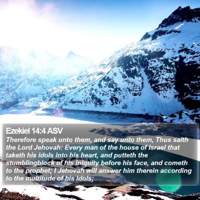 Ezekiel 14:4 ASV Bible Verse Image
