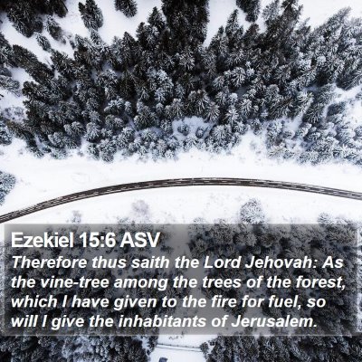 Ezekiel 15:6 ASV Bible Verse Image