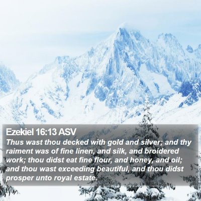 Ezekiel 16:13 ASV Bible Verse Image