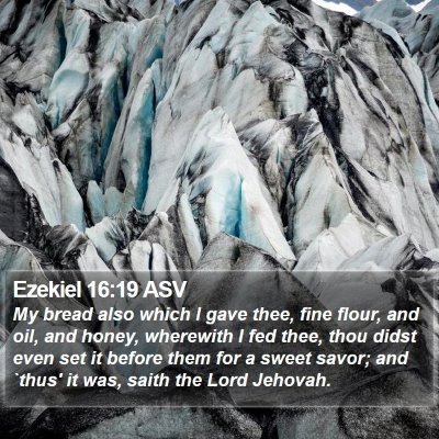 Ezekiel 16:19 ASV Bible Verse Image