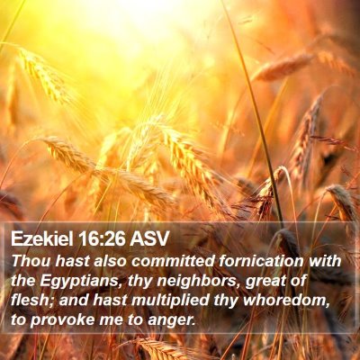 Ezekiel 16:26 ASV Bible Verse Image