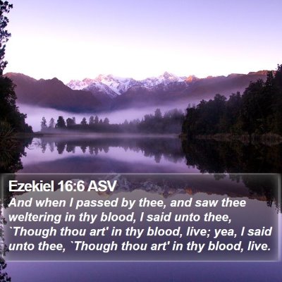 Ezekiel 16:6 ASV Bible Verse Image
