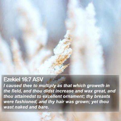 Ezekiel 16:7 ASV Bible Verse Image