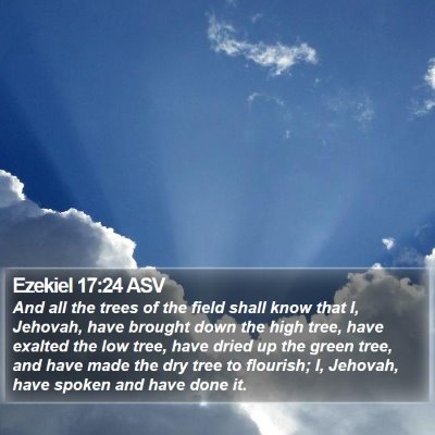 Ezekiel 17:24 ASV Bible Verse Image