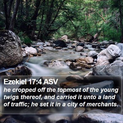 Ezekiel 17:4 ASV Bible Verse Image