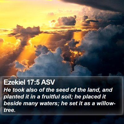 Ezekiel 17:5 ASV Bible Verse Image