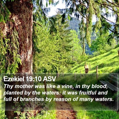 Ezekiel 19:10 ASV Bible Verse Image