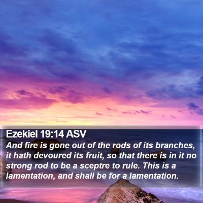 Ezekiel 19:14 ASV Bible Verse Image