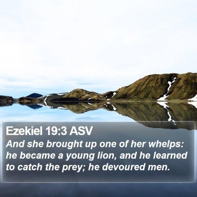 Ezekiel 19:3 ASV Bible Verse Image