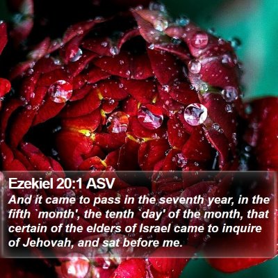 Ezekiel 20:1 ASV Bible Verse Image