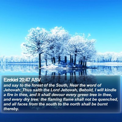 Ezekiel 20:47 ASV Bible Verse Image