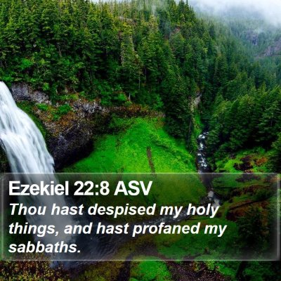 Ezekiel 22:8 ASV Bible Verse Image
