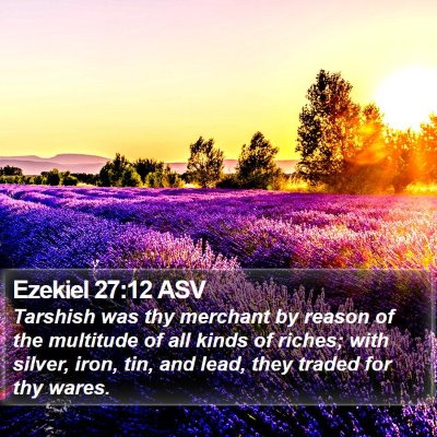 Ezekiel 27:12 ASV Bible Verse Image