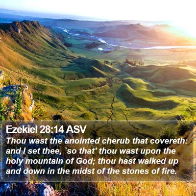 Ezekiel 28:14 ASV Bible Verse Image