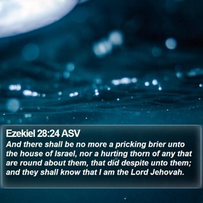 Ezekiel 28:24 ASV Bible Verse Image