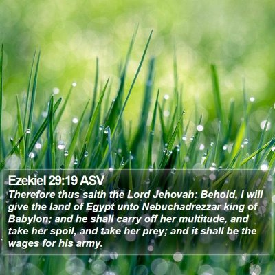 Ezekiel 29:19 ASV Bible Verse Image