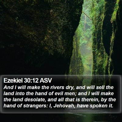 Ezekiel 30:12 ASV Bible Verse Image