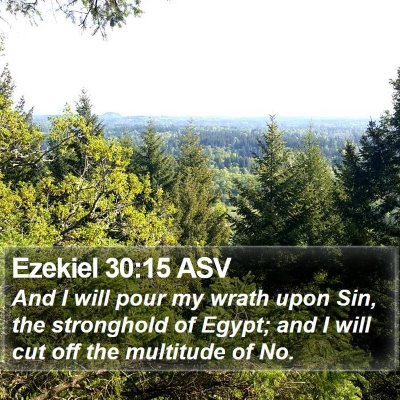 Ezekiel 30:15 ASV Bible Verse Image