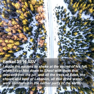Ezekiel 31:16 ASV Bible Verse Image