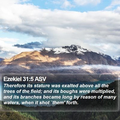 Ezekiel 31:5 ASV Bible Verse Image