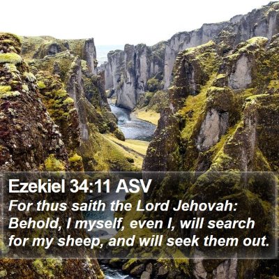 Ezekiel 34:11 ASV Bible Verse Image