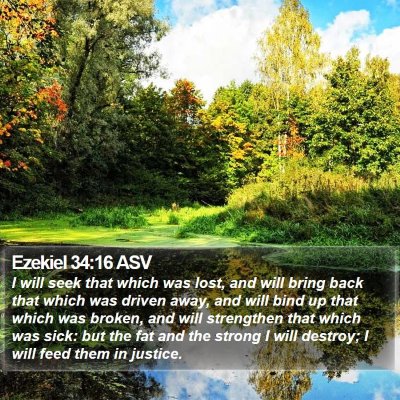 Ezekiel 34:16 ASV Bible Verse Image