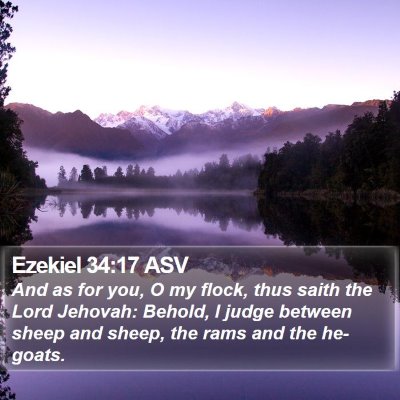 Ezekiel 34:17 ASV Bible Verse Image