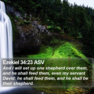 Ezekiel 34:23 ASV Bible Verse Image