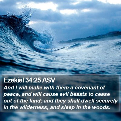 Ezekiel 34:25 ASV Bible Verse Image