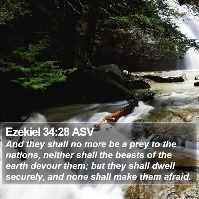 Ezekiel 34:28 ASV Bible Verse Image