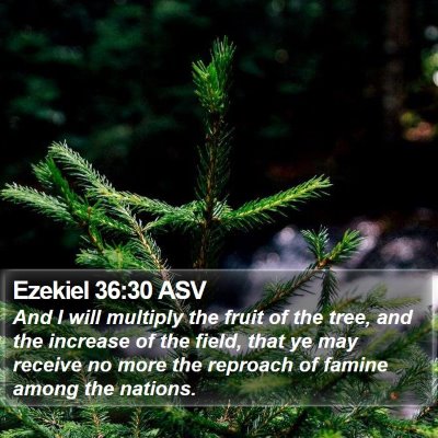 Ezekiel 36:30 ASV Bible Verse Image