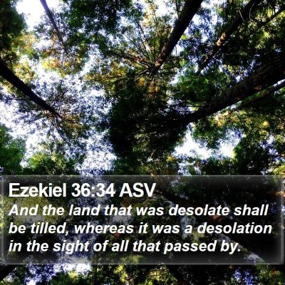 Ezekiel 36:34 ASV Bible Verse Image