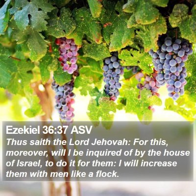 Ezekiel 36:37 ASV Bible Verse Image