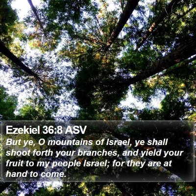 Ezekiel 36:8 ASV Bible Verse Image
