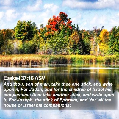 Ezekiel 37:16 ASV Bible Verse Image
