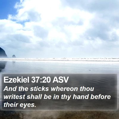 Ezekiel 37:20 ASV Bible Verse Image