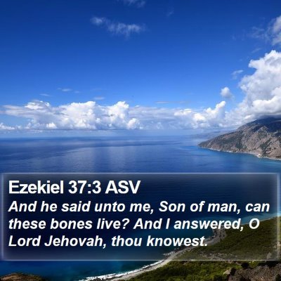 Ezekiel 37:3 ASV Bible Verse Image